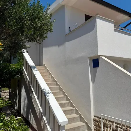 Anastazija *