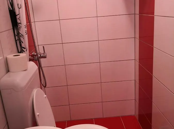 公寓 Anastazija 帕格